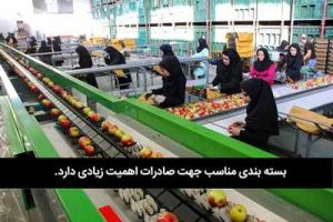 صادرات کود شیمیایی از ایران|ارسال از کارخانه|تجارت کود با تاجران