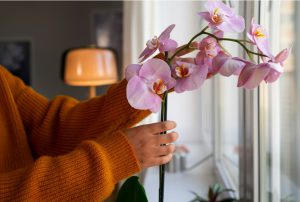 اسید هیومیک برای گل ارکیده