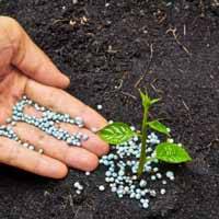 مزایای کود شیمیایی نسبت به کود حیوانی