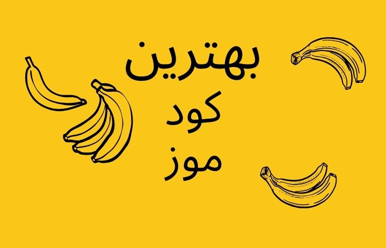 کود مخصوص موز درخت برای باردهی و افزایش تناژ.