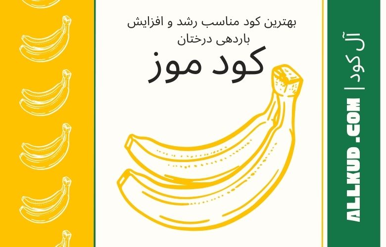 کود مخصوص موز درخت برای رشد بیشتر.