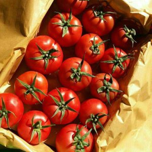 کود سولوپتاس برای گوجه فرنگی