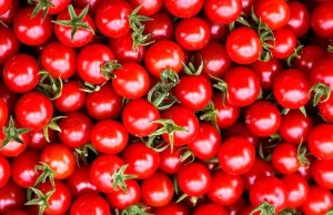 اسید هیومیک برای گوجه فرنگی