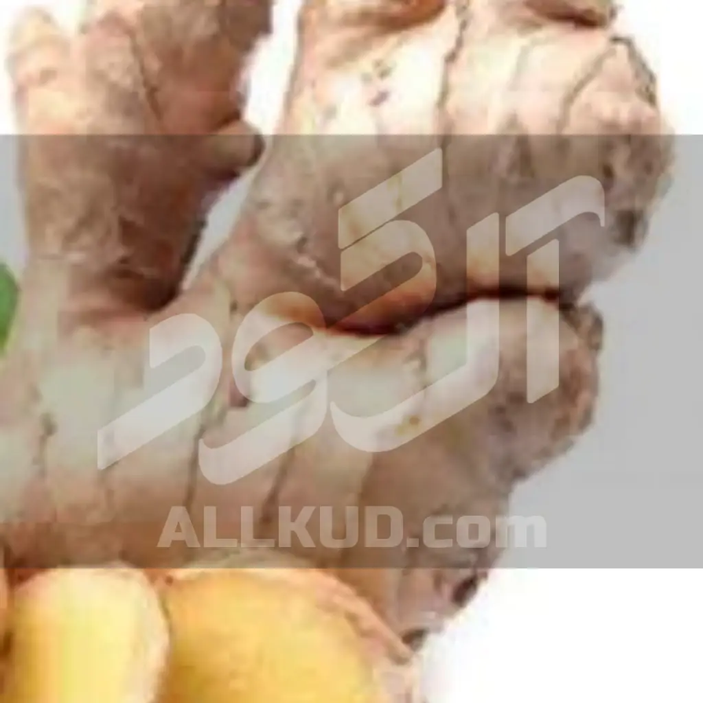 کود زنجبیل