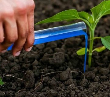 بهترین کود شیمیایی برای رشد سریع گیاهان و درختان
