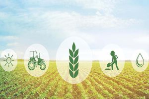 کشاورزی پایدار