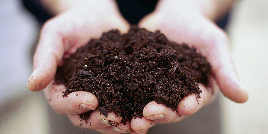 رابطه خاک و آب برای تغذیه گیاهان 