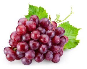 کود مخصوص انگور 