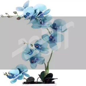 اسید هیومیک برای گل ارکیده