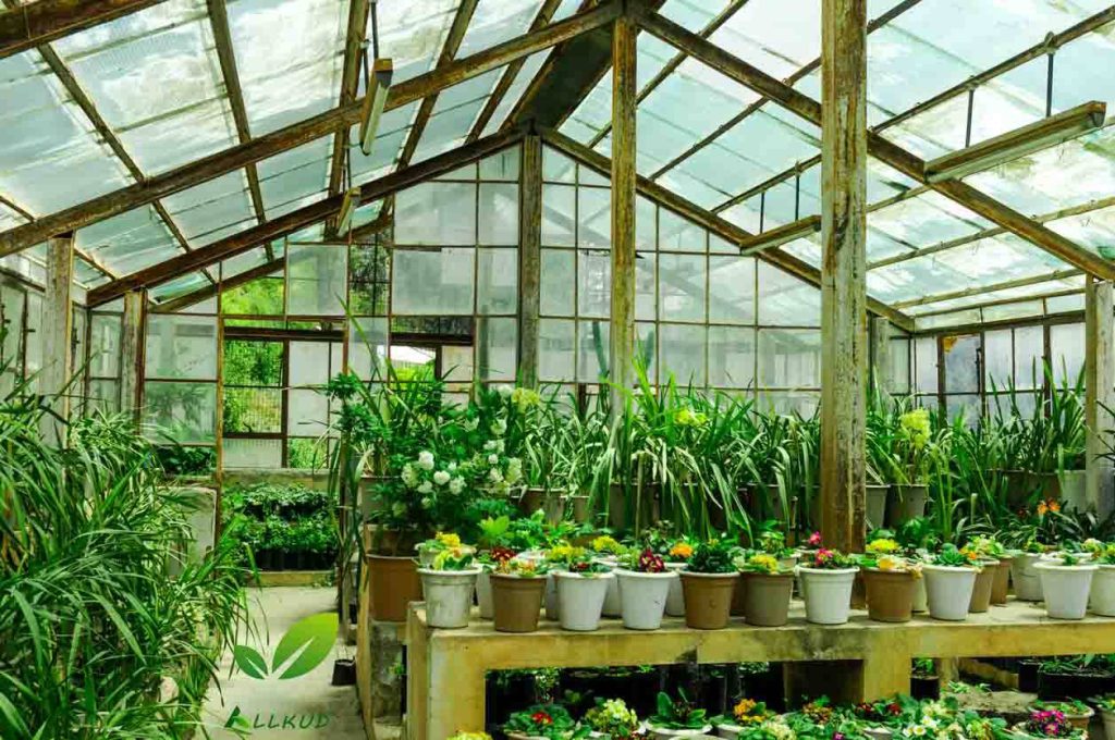 فروش کود گلخانه ای