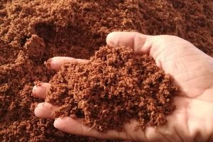 خاک کوکوپیت چیست | مزایا و کاربردهای خاک کوکوپیت