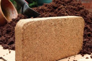 خاک کوکوپیت چیست | مزایا و کاربردهای خاک کوکوپیت