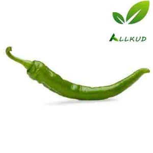 زمان کاشت فلفل سبز