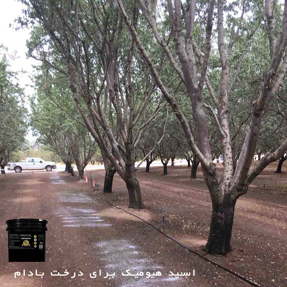 خرید اسید هیومیک برای درخت بادام