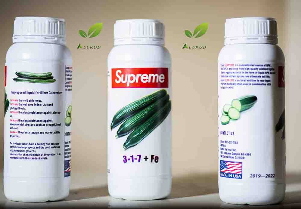 علت خیار ندادن بوته خیار