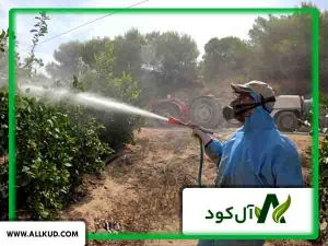 مزایای استفاده از کود محلول پاشی بر روی درختان میوه