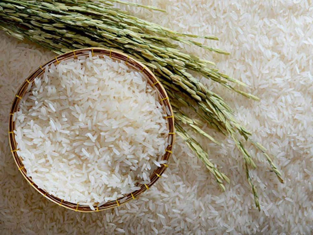 بهترین کود برای برنج