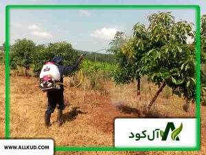 میزان استفاده کود بر روی درختان میوه