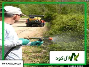 مزایای استفاده از کود بر روی درختان میوه