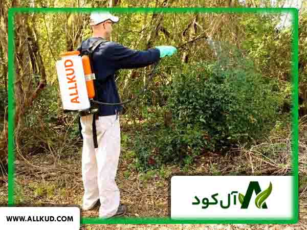 طریقه محلول پاشی کود بر روی درختان میوه