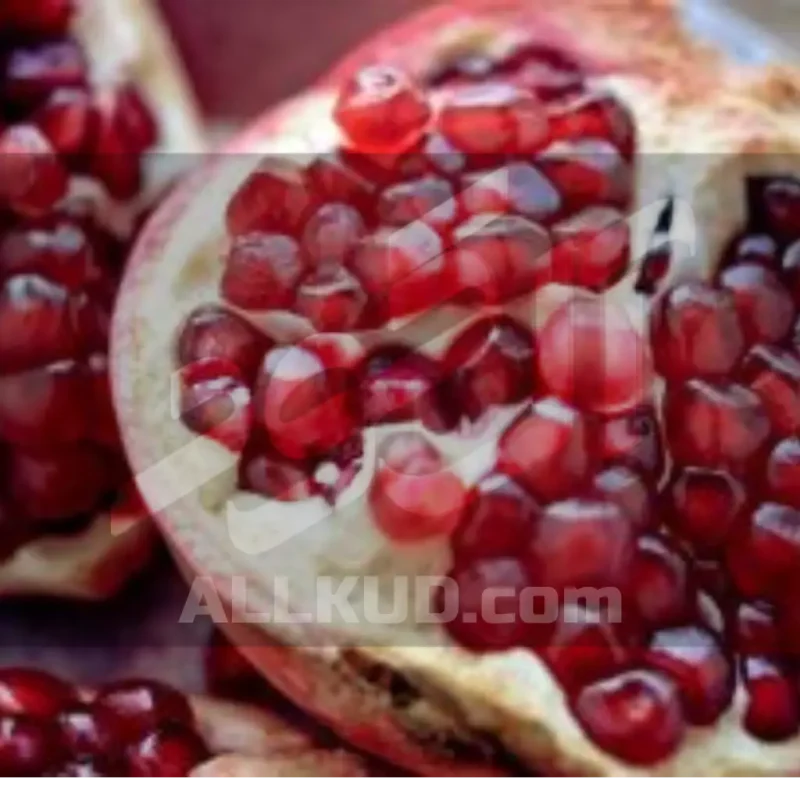 کود جلبک دریایی برای باغ انار