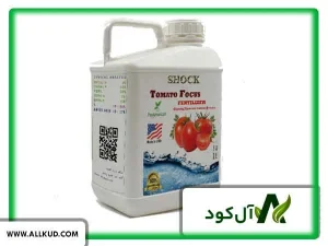 قرمز شدن گوجه کال