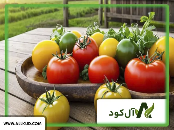 قرمز شدن گوجه کال