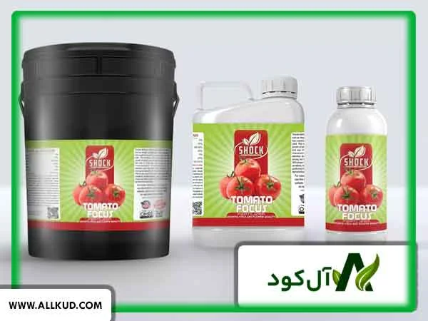 قرمز شدن گوجه کال