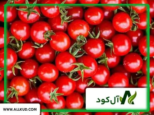 قرمز شدن گوجه کال