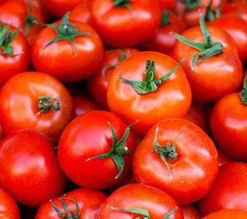 علت زودرس کردن گوجه فرنگی