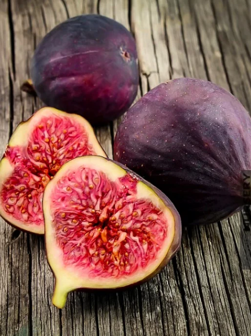 بهترین زمان کوددهی درخت انجیر