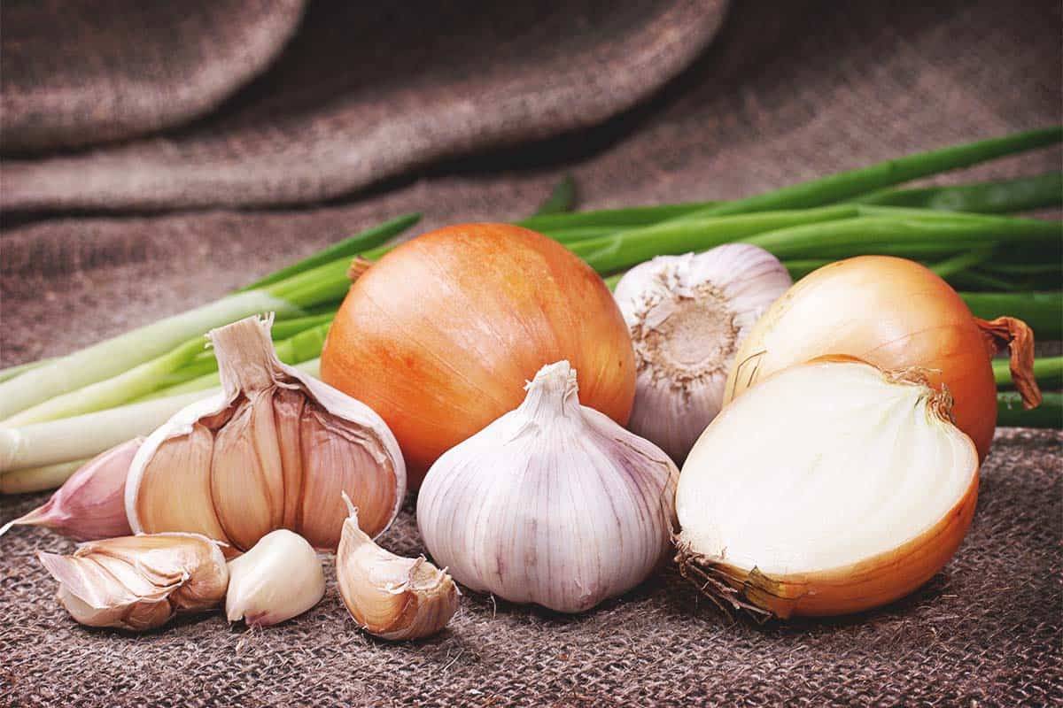 کود کامل اختصاصی سیر و پیاز