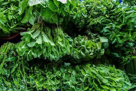 کود کامل شوک 10x برای سبزیجات
