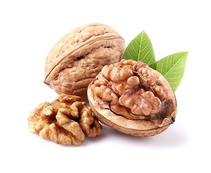 کود برای گردو