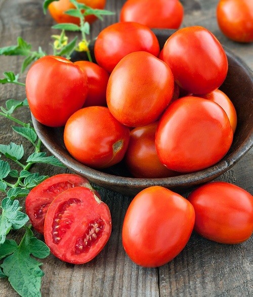 بهترین کود برای رشد گوجه فرنگی