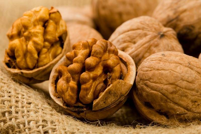 برنامه غذایی درخت گردو