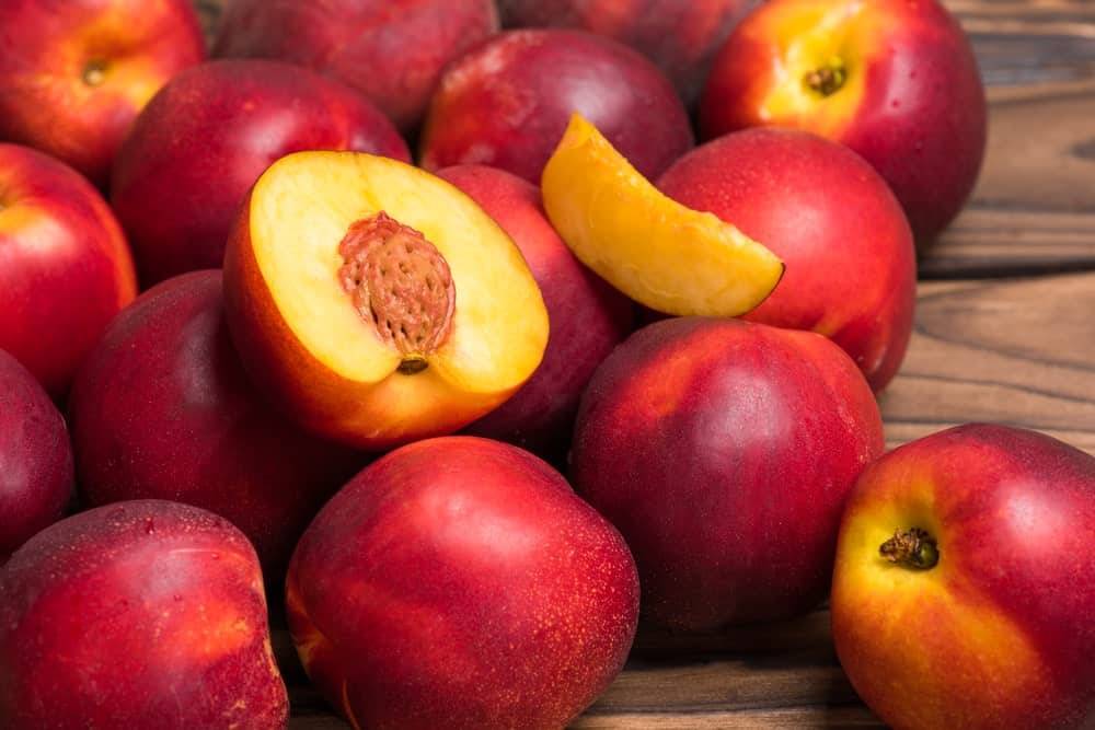 بهترین کود برای شلیل