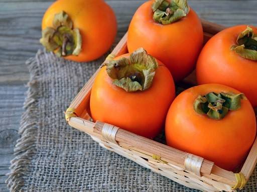 بهترین کود برای درخت خرمالو