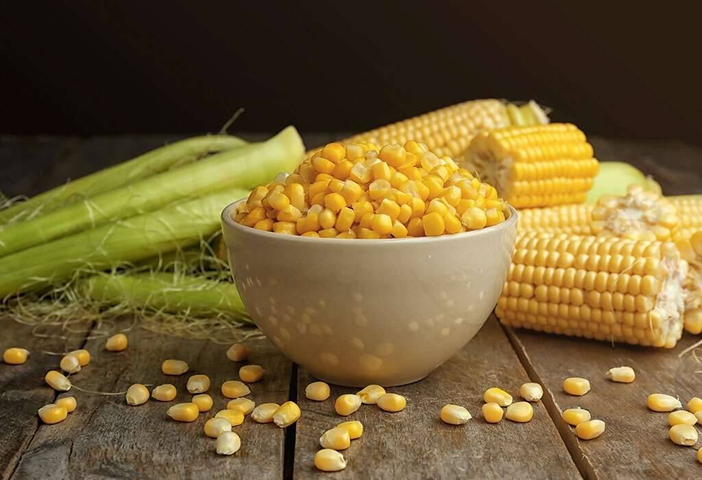 زمان مصرف هیومیک اسید برای ذرت