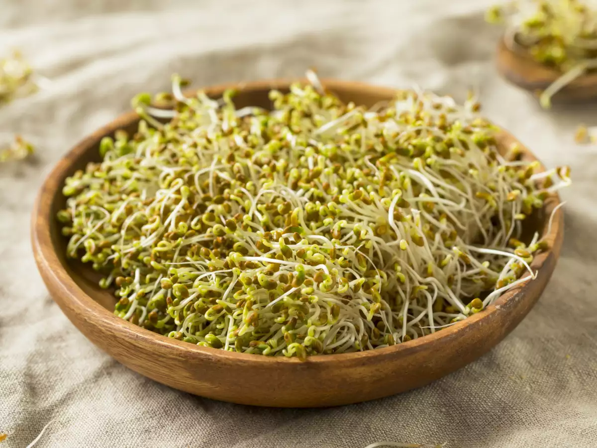 کود شوک برای یونجه