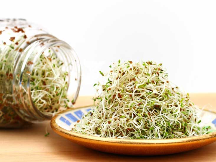 کود شوک برای یونجه