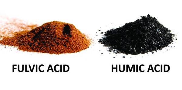 ترکیب هیومیک اسید با آهن