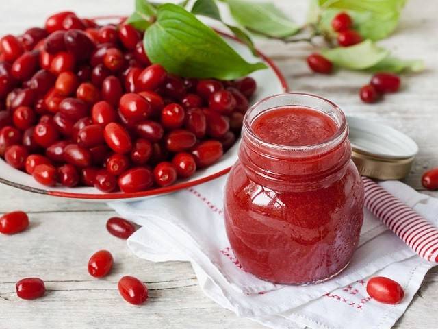 کاشت ذغال اخته از هسته