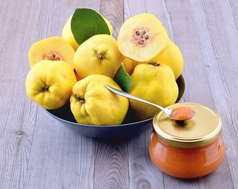 کاشت دانه به