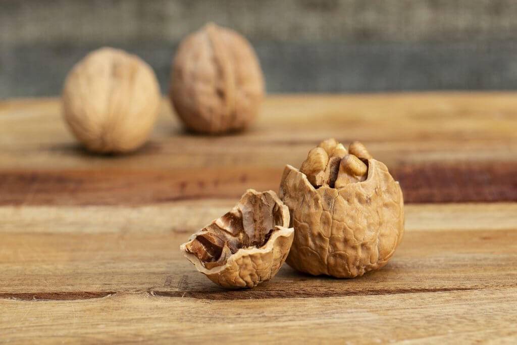 همه چیز در رابطه با درخت گردو و علل بار ندادن آن