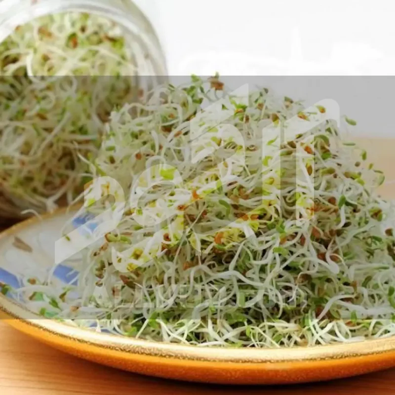 کود مایع برای رشد یونجه