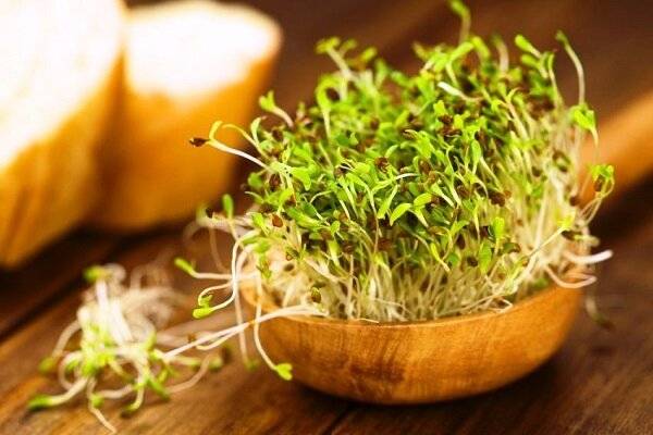 کود آهن برای یونجه