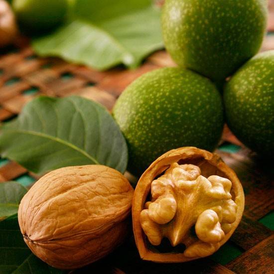 کود کامل برای درخت گردو