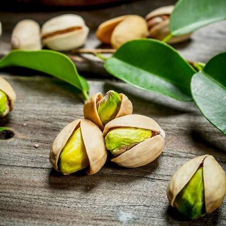 کوددهی درخت پسته در بهار