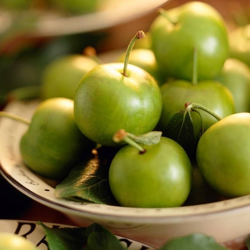 تاثیر فروت ست بر روی گوجه سبز